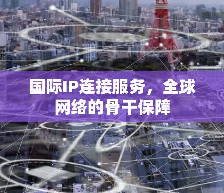 国际IP连接服务,全球网络的骨干保障 国际IP连接服务,全球网络的骨干保障