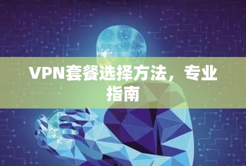 VPN套餐选择方法,专业指南 VPN套餐选择方法,专业指南