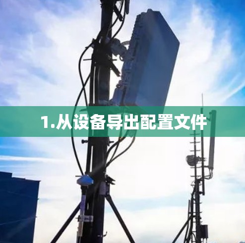 1.从设备导出配置文件 1.从设备导出配置文件