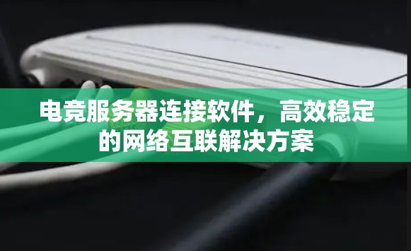 电竞服务器连接软件，高效稳定的网络互联解决方案