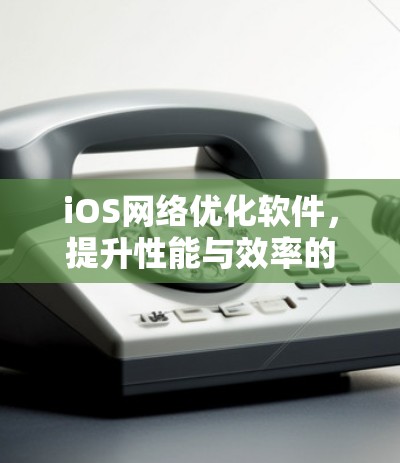iOS网络优化软件,提升性能与效率的关键 iOS网络优化软件,提升性能与效率的关键