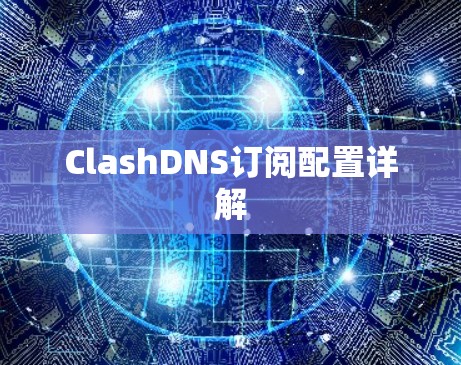 ClashDNS订阅配置详解