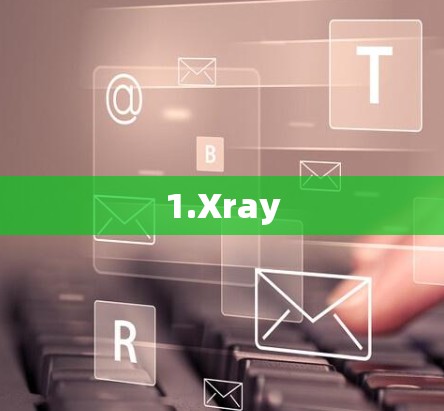 1.Xray 1.Xray