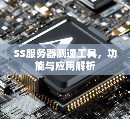 SS服务器测速工具,功能与应用解析 SS服务器测速工具,功能与应用解析
