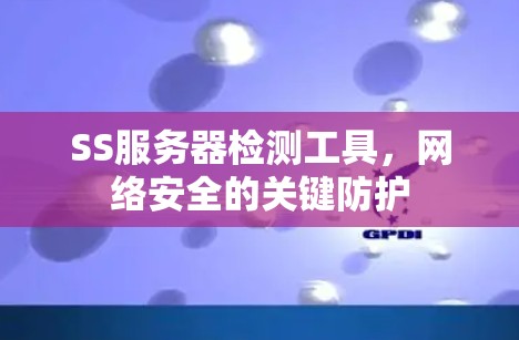 SS服务器检测工具,网络安全的关键防护 SS服务器检测工具,网络安全的关键防护