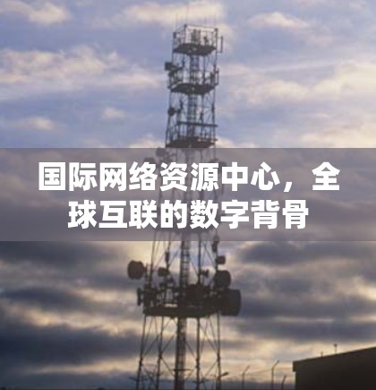 国际网络资源中心，全球互联的数字背骨