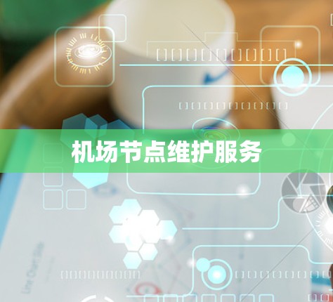 机场节点维护服务