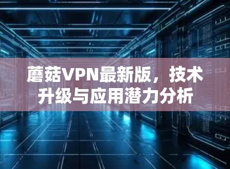 蘑菇VPN最新版,技术升级与应用潜力分析 蘑菇VPN最新版,技术升级与应用潜力分析