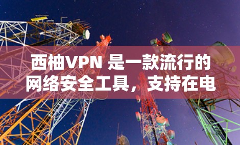 西柚VPN 是一款流行的网络安全工具,支持在电脑上使用。以下是使用西柚VPN电脑版的基本步骤 西柚VPN 是一款流行的网络安全工具,支持在电脑上使用。以下是使用西柚VPN电脑版的基本步骤
