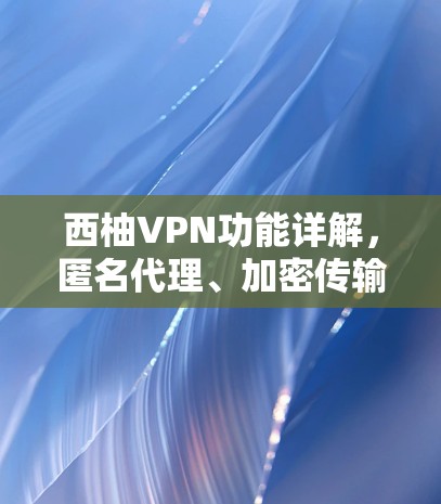 西柚VPN功能详解，匿名代理、加密传输与多设备支持