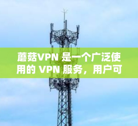 蘑菇VPN 是一个广泛使用的 VPN 服务,用户可以通过电脑端客户端进行配置和使用。以下是关于蘑菇VPN 电脑端的一些常见操作和信息 蘑菇VPN 是一个广泛使用的 VPN 服务,用户可以通过电脑端客户端进行配置和使用。以下是关于蘑菇VPN 电脑端的一些常见操作和信息