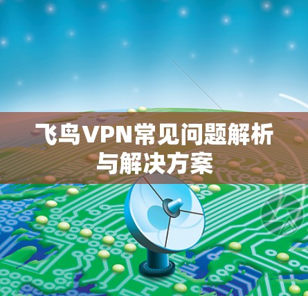 飞鸟VPN常见问题解析与解决方案 飞鸟VPN常见问题解析与解决方案