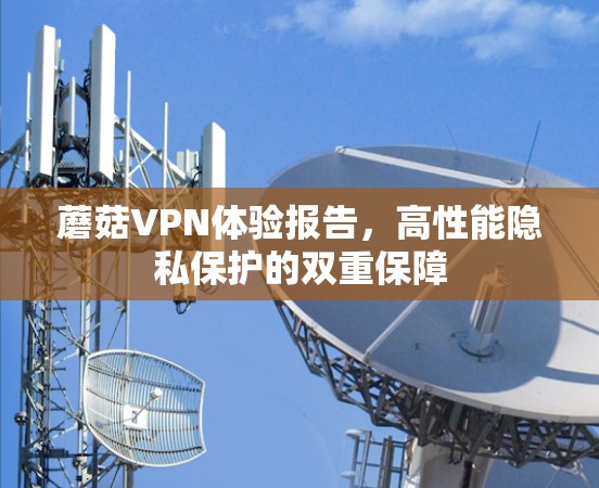 蘑菇VPN体验报告,高性能隐私保护的双重保障 蘑菇VPN体验报告,高性能隐私保护的双重保障