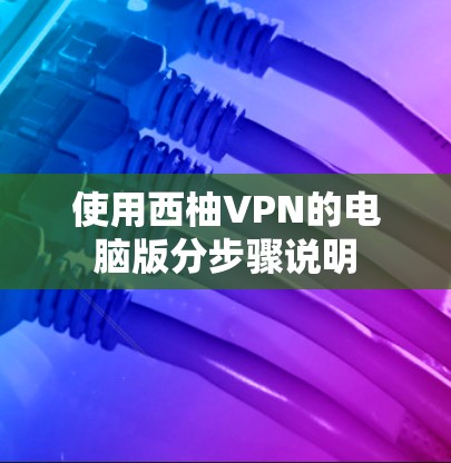 使用西柚VPN的电脑版分步骤说明