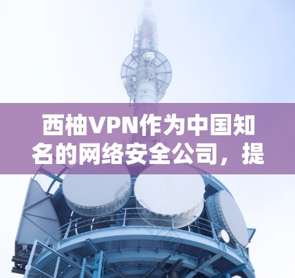 西柚VPN作为中国知名的网络安全公司，提供的VPN服务主要面向企业用户，具备较强的安全性和专业性。以下是对其性能的详细分析