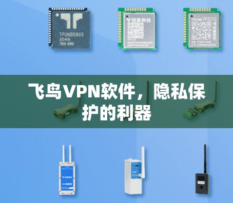 飞鸟VPN软件,隐私保护的利器 飞鸟VPN软件,隐私保护的利器