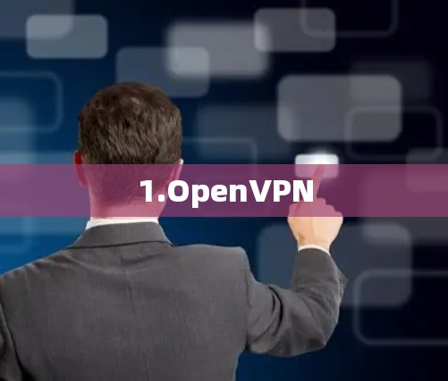 1.OpenVPN 1.OpenVPN