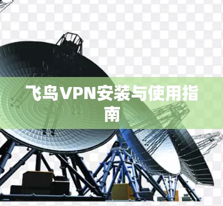 飞鸟VPN安装与使用指南 飞鸟VPN安装与使用指南
