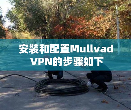 安装和配置Mullvad VPN的步骤如下