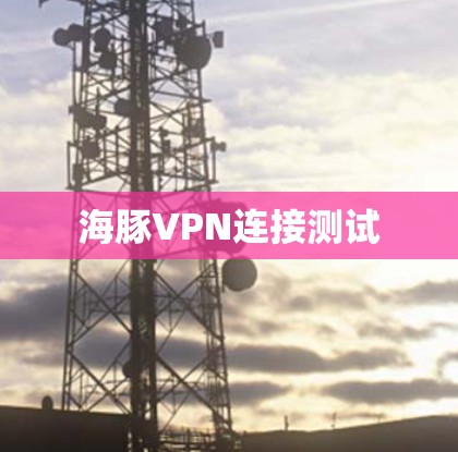 海豚VPN连接测试