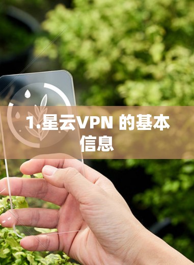 1.星云VPN 的基本信息