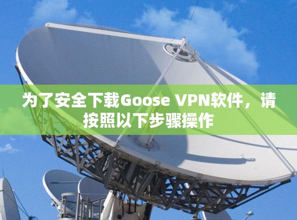 为了安全下载Goose VPN软件,请按照以下步骤操作 为了安全下载Goose VPN软件,请按照以下步骤操作