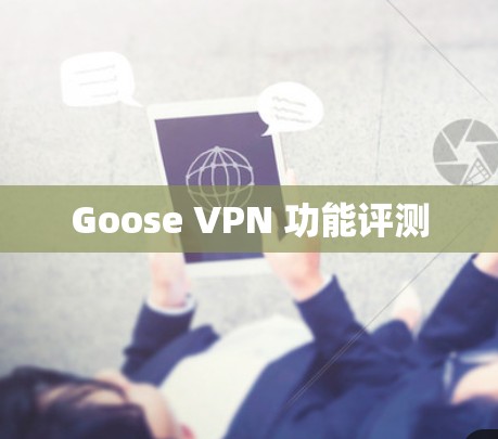 Goose VPN 功能评测 Goose VPN 功能评测