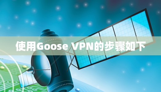 使用Goose VPN的步骤如下