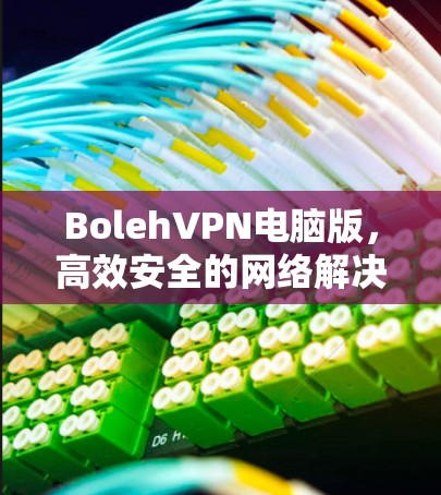 BolehVPN电脑版,高效安全的网络解决方案 BolehVPN电脑版,高效安全的网络解决方案