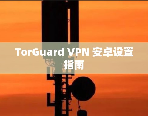 TorGuard VPN 安卓设置指南 TorGuard VPN 安卓设置指南
