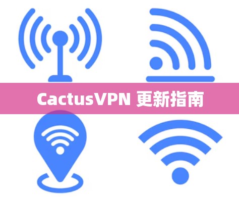 CactusVPN 更新指南