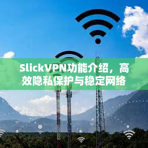 SlickVPN功能介绍,高效隐私保护与稳定网络 SlickVPN功能介绍,高效隐私保护与稳定网络