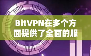BitVPN在多个方面提供了全面的服务，适合对于隐私保护和网络安全有需求的用户。以下是对BitVPN功能的详细评测