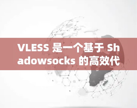 VLESS 是一个基于 Shadowsocks 的高效代理工具，能够帮助用户绕过网络限制，实现自由上网。以下是使用 VLESS 客户端的基本设置步骤和常用配置