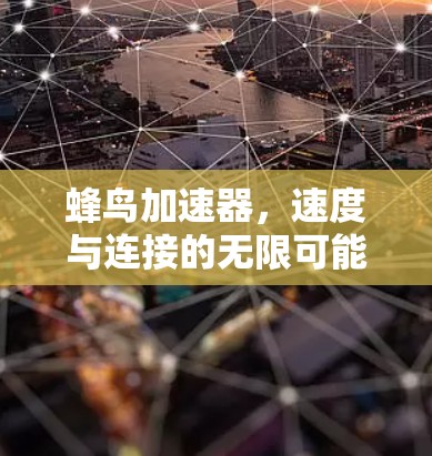 蜂鸟加速器,速度与连接的无限可能 蜂鸟加速器,速度与连接的无限可能