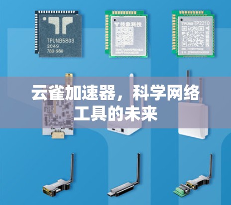 云雀加速器，科学网络工具的未来