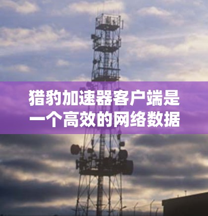 猎豹加速器客户端是一个高效的网络数据传输解决方案,旨在优化数据传输性能,适用于内容分发、云计算、分布式系统等多个领域。以下是对猎豹加速器客户端的详细分析和使用指南 猎豹加速器客户端是一个高效的网络数据传输解决方案,旨在优化数据传输性能,适用于内容分发、云计算、分布式系统等多个领域。以下是对猎豹加速器客户端的详细分析和使用指南