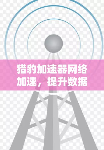 猎豹加速器网络加速，提升数据传输效率的关键技术