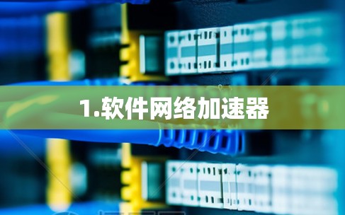 1.软件网络加速器 1.软件网络加速器