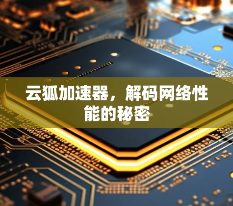 云狐加速器，解码网络性能的秘密