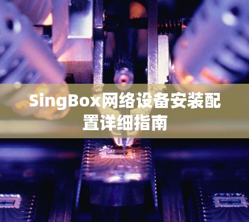 SingBox网络设备安装配置详细指南
