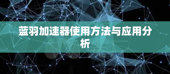 蓝羽加速器使用方法与应用分析
